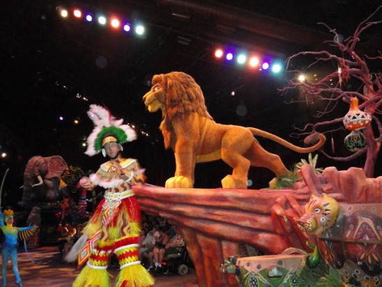experiencias-de-viagens-animal-festival-of-the-lion-king