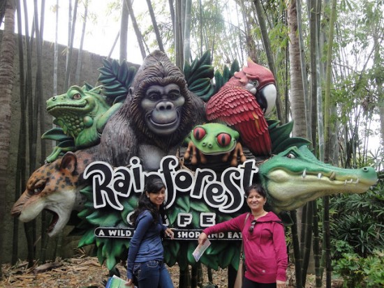 experiencias-de-viagens-animal-rainforest-statue