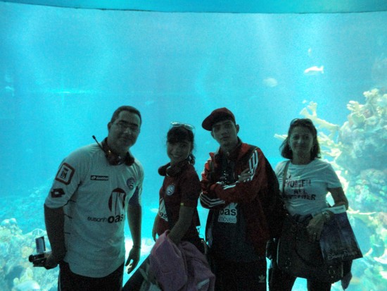 experiencias-de-viagens-disney-epcot-center-The-Seas-with-Nemo-Friends-aquarium