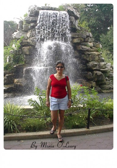 experiencias-de-viagens-washington-zoo-waterfall